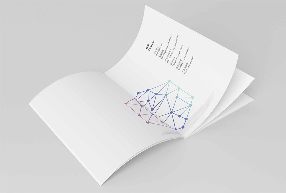 廣州高新科技行業(yè)畫冊設計,廣州高新科技行業(yè)畫冊設計公司