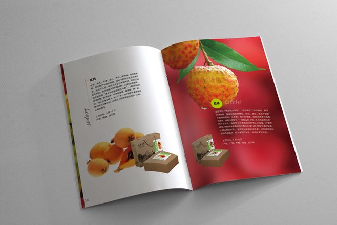 宣傳冊設(shè)計一般一頁多少錢？宣傳冊的特點有哪些？