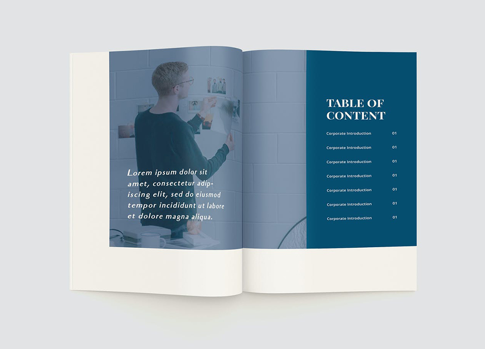 企業(yè)宣傳冊設計費用是多少？詳解企業(yè)畫冊設計的收費標準