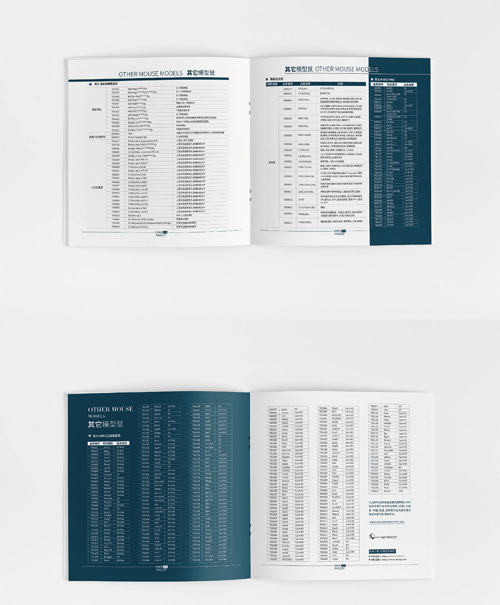 模型企業(yè)畫冊(cè)設(shè)計(jì),模型企業(yè)畫冊(cè)設(shè)計(jì)公司