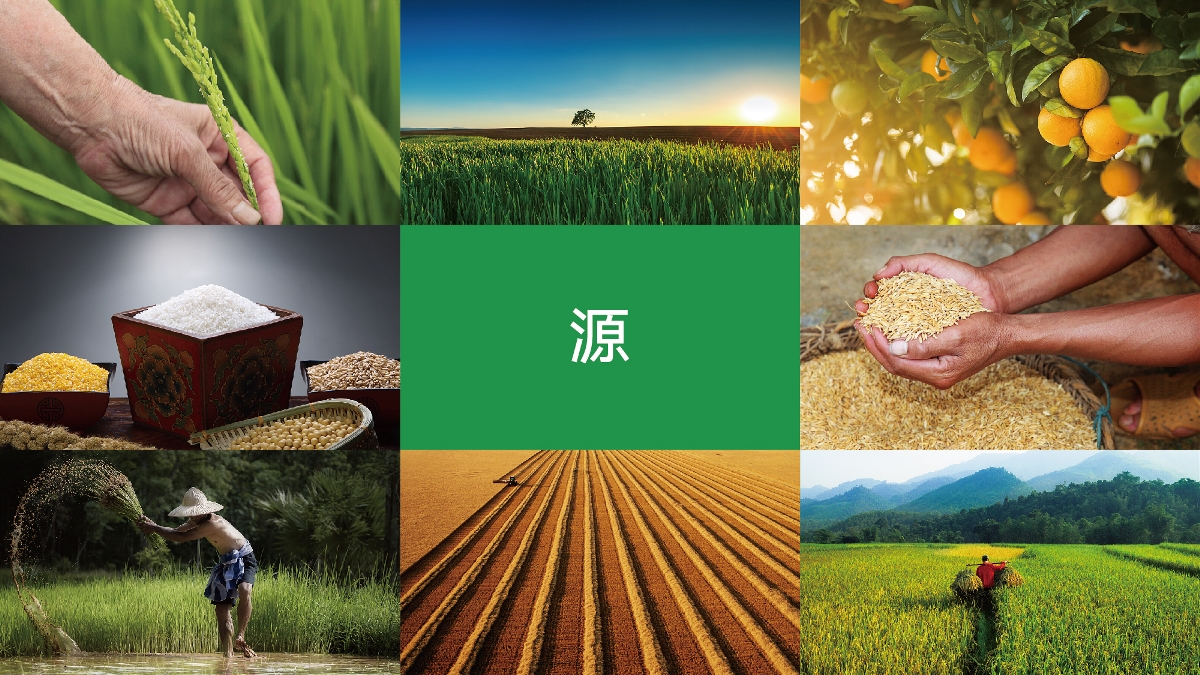 農(nóng)產(chǎn)品品牌設(shè)計(jì)技巧有哪些？怎樣塑造品牌形象