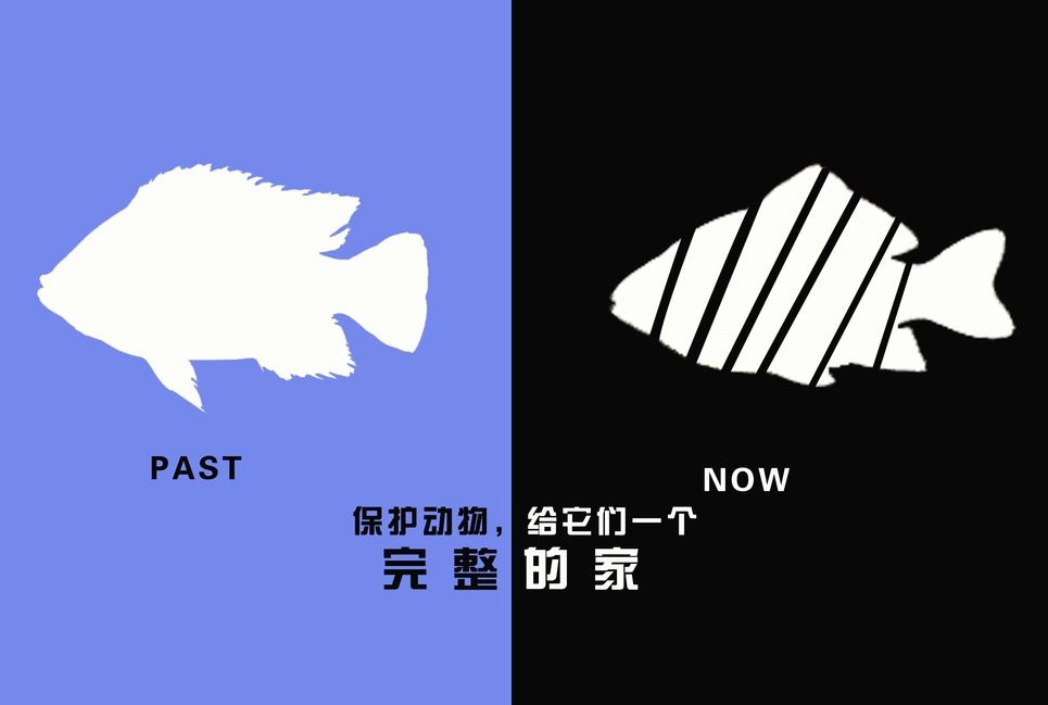 廣告設(shè)計(jì)制作