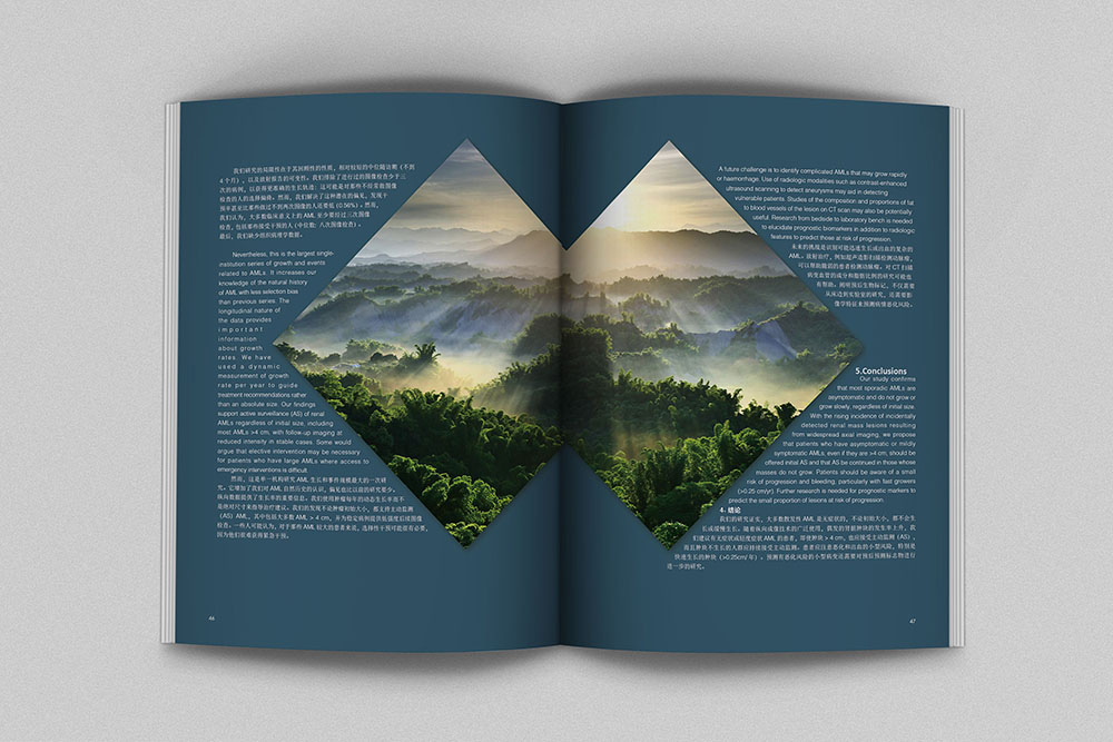 創(chuàng)意畫(huà)冊(cè)內(nèi)頁(yè)設(shè)計(jì),創(chuàng)意畫(huà)冊(cè)內(nèi)頁(yè)設(shè)計(jì)案例欣賞 創(chuàng)意畫(huà)冊(cè)內(nèi)頁(yè)設(shè)計(jì),創(chuàng)意畫(huà)冊(cè)內(nèi)頁(yè)設(shè)計(jì)案例欣賞