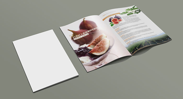 廣州沃園農(nóng)牧科技畫冊設計-農(nóng)產(chǎn)品畫冊設計-農(nóng)副產(chǎn)品畫冊設計公司