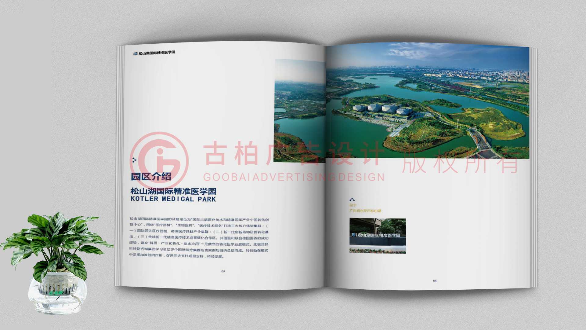 一本聚會(huì)紀(jì)念冊(cè)該如何通過排版來提升整體的美觀性？