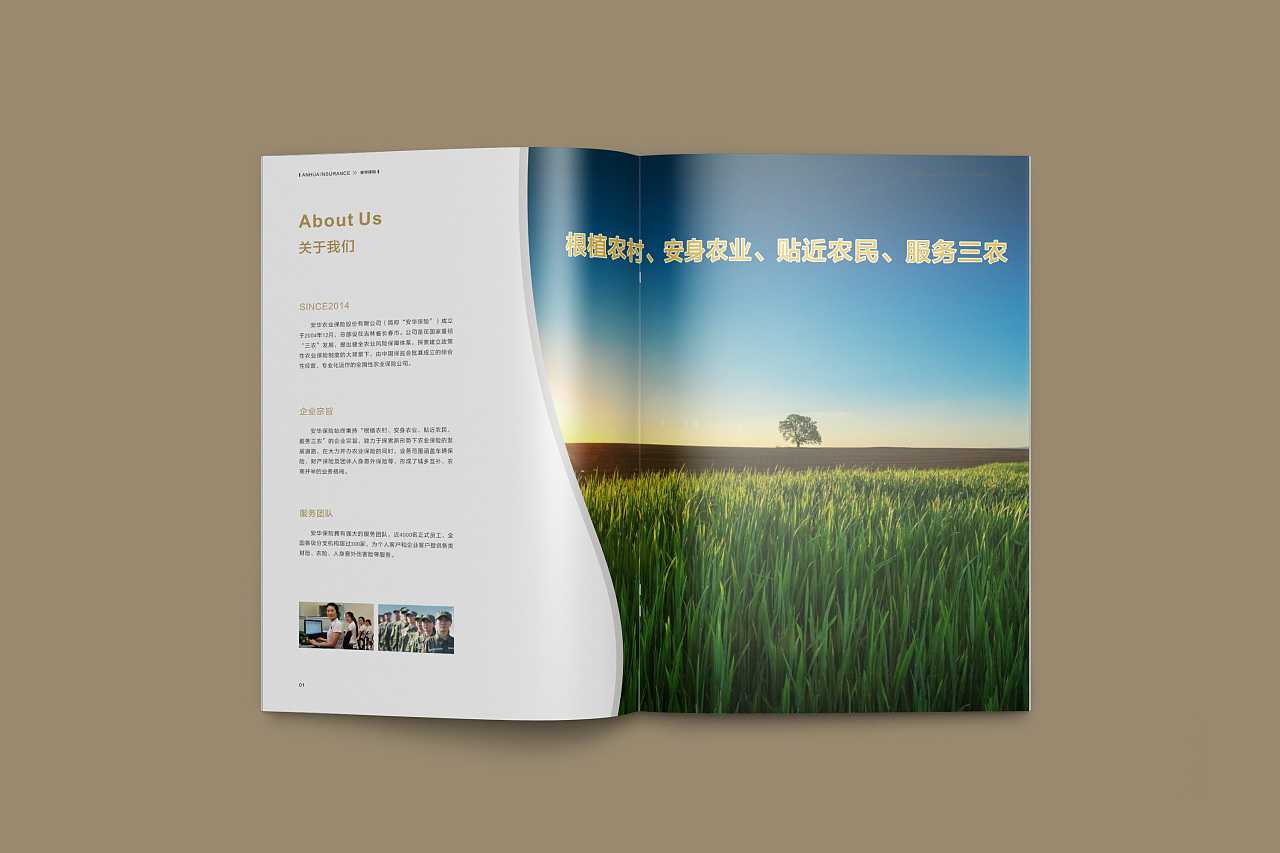 成都企業(yè)為什么要選擇高端宣傳冊(cè)設(shè)計(jì)公司呢？