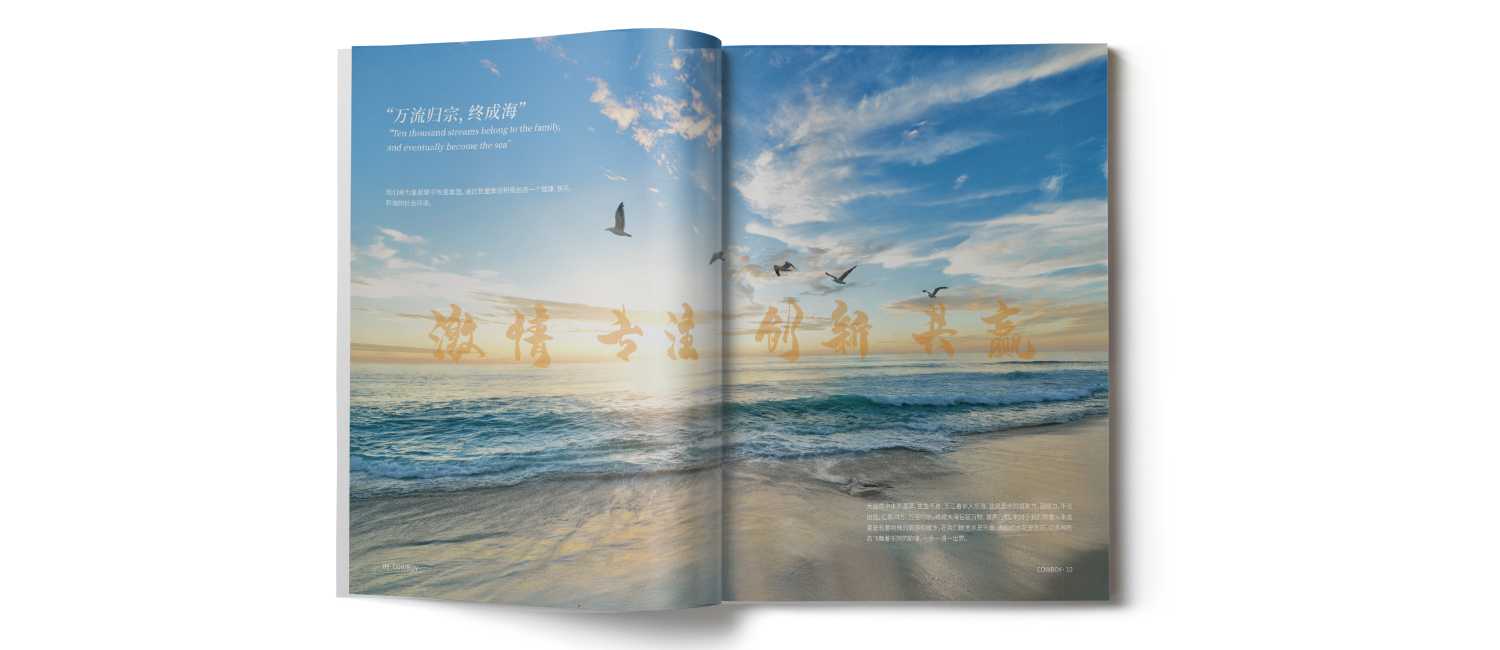 水上樂園畫冊的一些設計技巧？