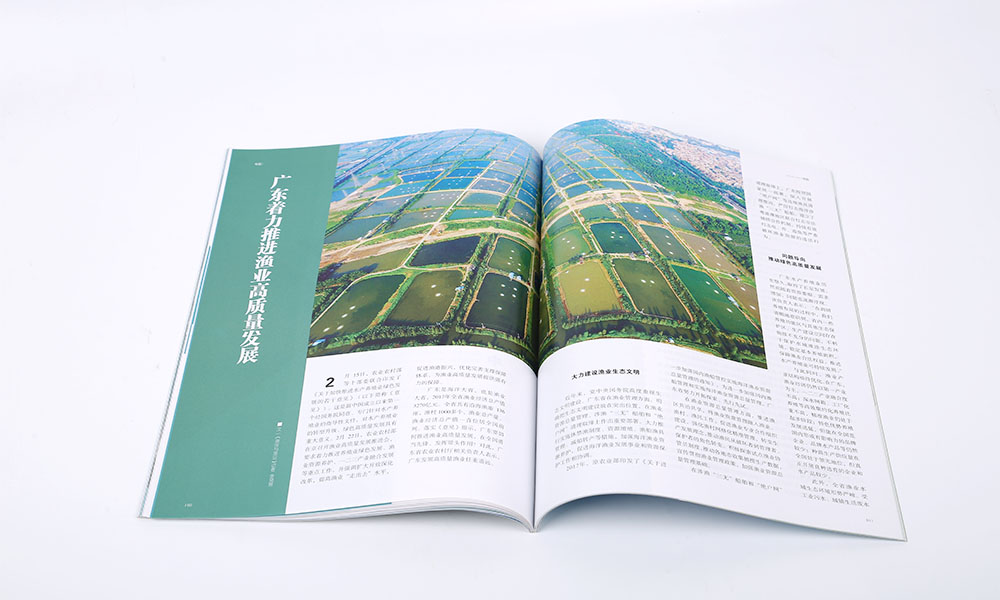 電子宣傳冊字體大概要多久？