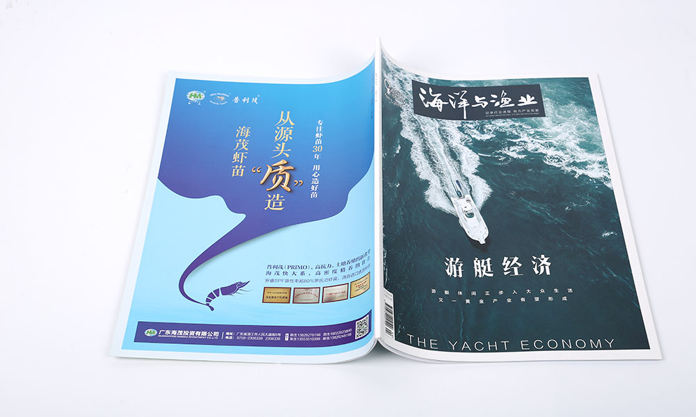 設(shè)計(jì)畫冊(cè)什么哪個(gè)好？